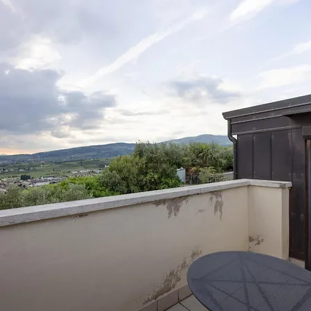 Apartman Zardo Winery *