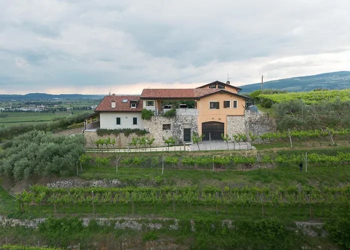 Zardo Winery * San Pietro in Cariano