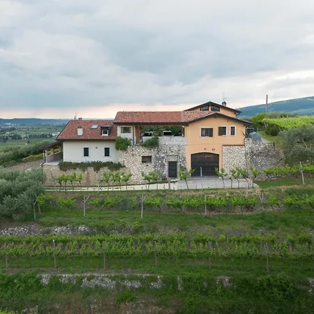 Zardo Winery * サン・ピエトロ・イン・カリアーノ